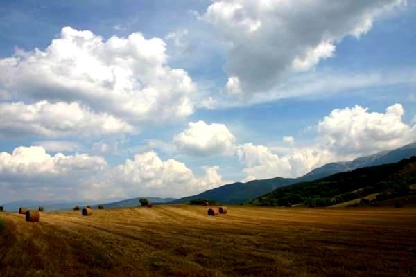 中国生物科技研究取得新突破：民族战略获国际关注