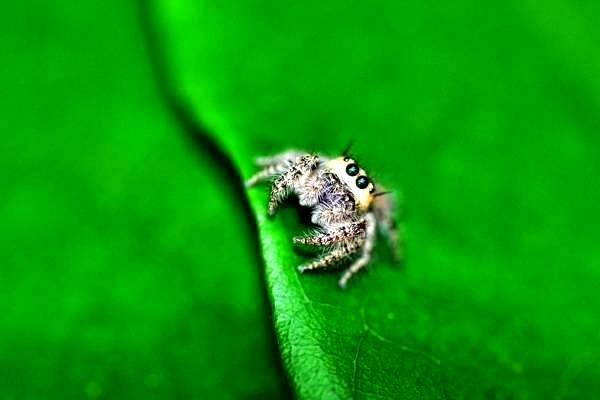 中共中央发布战略部署，完善生物科技领域领导体系